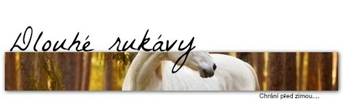 dlouhrukvy2