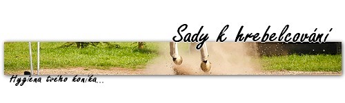 sadykhebelcovn