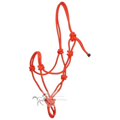rope-halter-epplejeck_2000x200