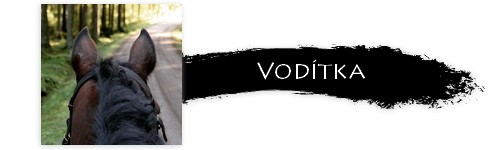 vodzthkj
